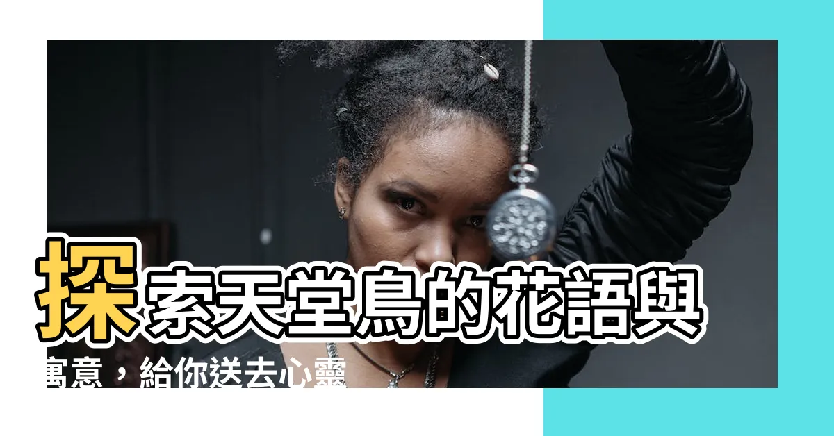 【天堂鳥 寓意】探索天堂鳥的花語與寓意，給你送去心靈的寧靜