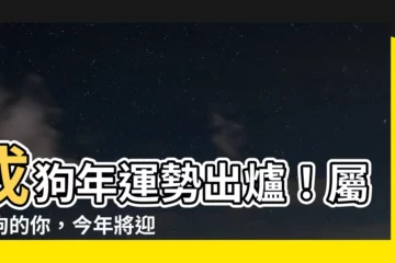 【戊狗】戌狗年運勢出爐！屬戌狗的你，今年將迎來重大轉變