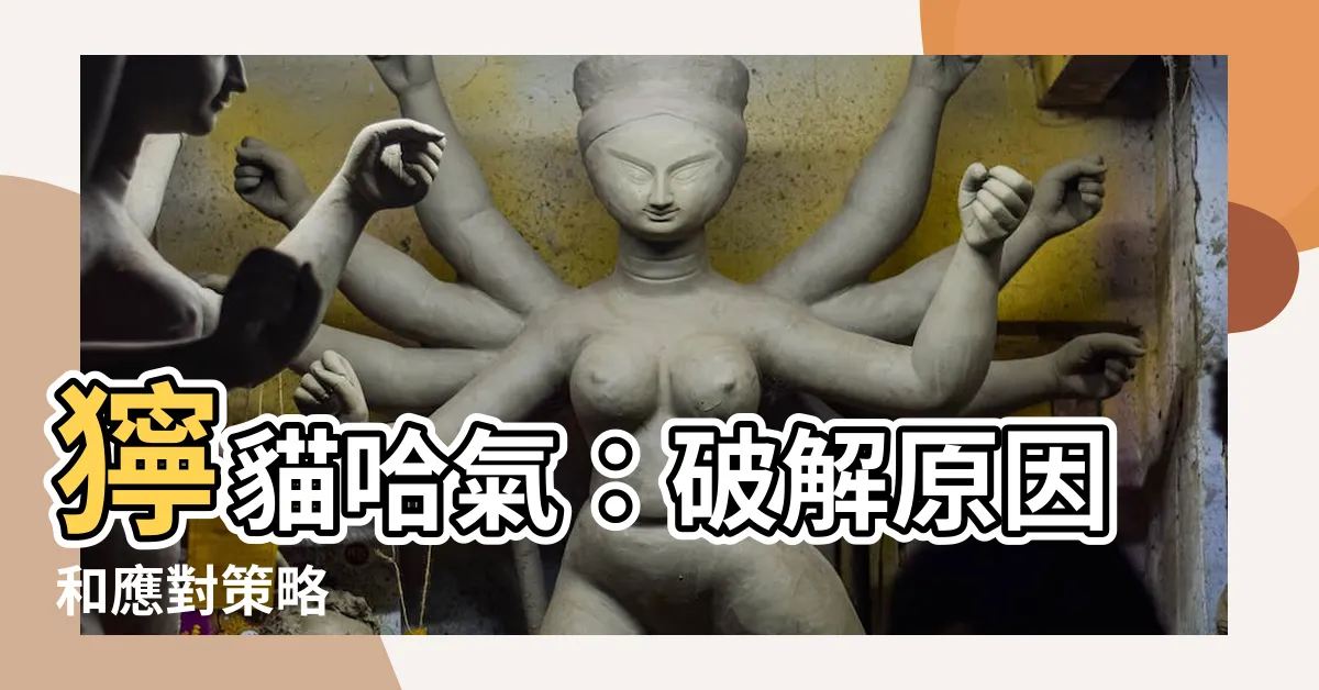 【獰貓哈氣意思】獰貓哈氣：破解原因和應對策略