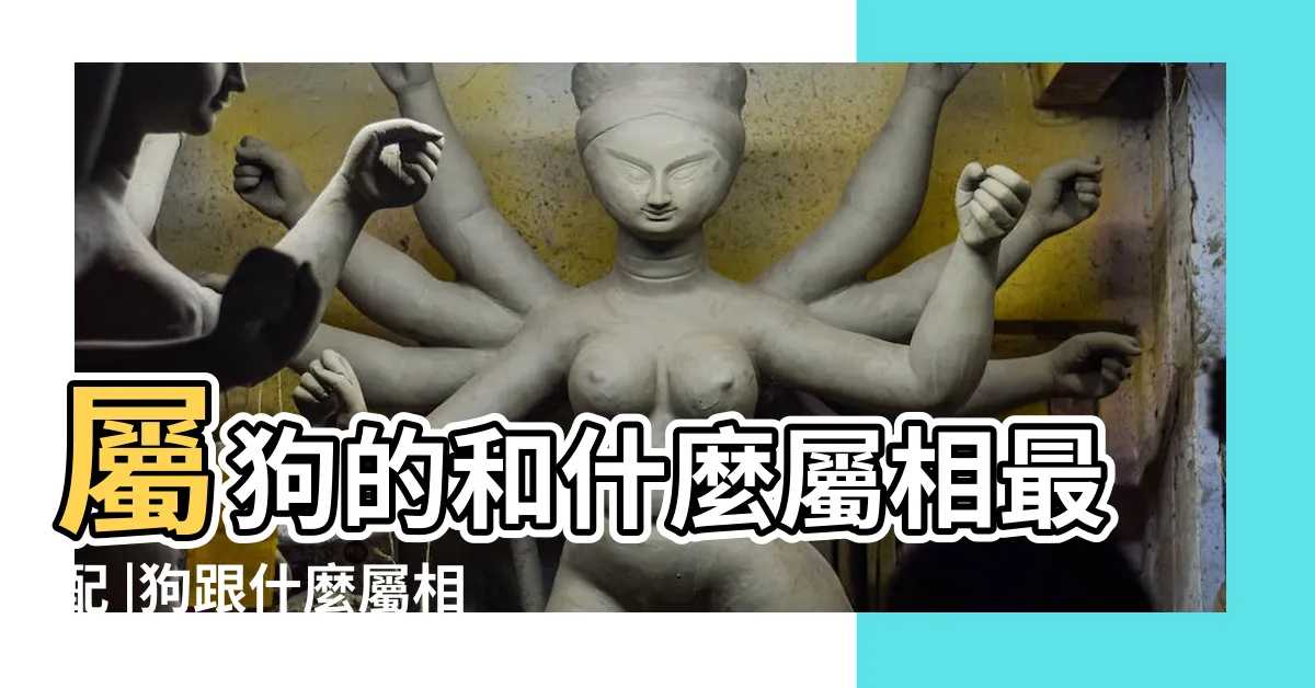 【屬狗適合的生肖】屬狗的和什麼屬相最配 |狗跟什麼屬相配最好 |屬狗的人適合與什麼生肖在一起 |