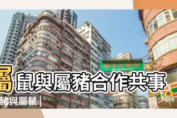 【屬相豬和鼠合作】屬鼠與屬豬合作共事 |屬豬與屬鼠 |鼠與豬合作生意好嗎屬鼠和屬豬合作生意好嗎 |