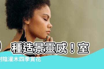 【室外耐陰灌木】9 種造景靈感！室外耐陰灌木四季賞花不間斷