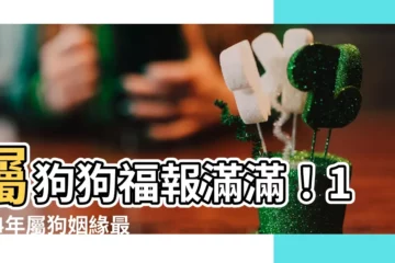 【1994年屬什麼】屬狗狗福報滿滿！1994年屬狗姻緣最強配對、禁忌生肖報你知