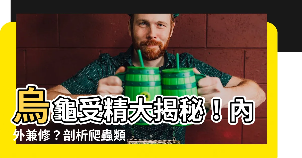 【烏龜是體內受精嗎】烏龜受精大揭秘！內外兼修？剖析爬蟲類生殖奇譚