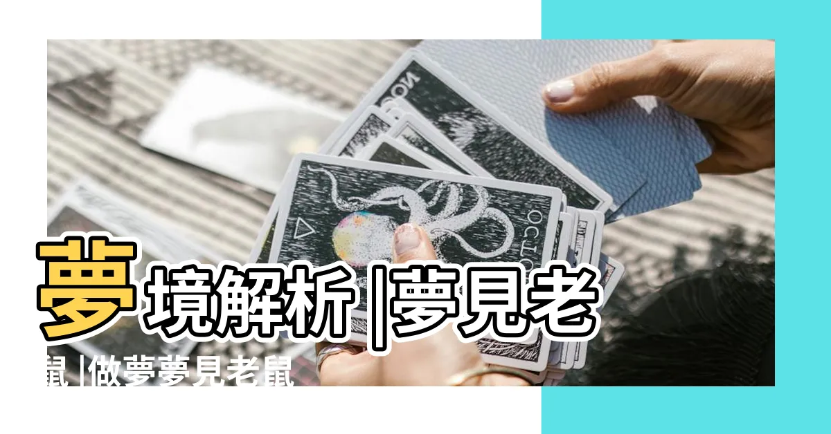 【夢見老鼠是什麼意思】夢境解析 |夢見老鼠 |做夢夢見老鼠好不好 |