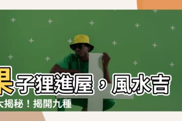 【果子狸進屋風水】果子狸進屋，風水吉凶大揭秘！揭開九種動物入宅的玄機