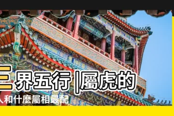 【21歲的虎配什麼生肖男】三界五行 |屬虎的男人和什麼屬相最配 |虎豬配最佳拍檔 |