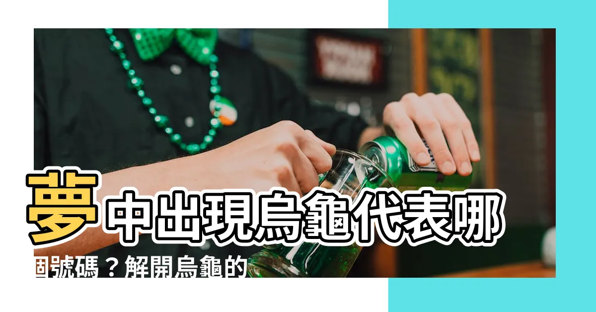 【夢到烏龜是幾號】夢中出現烏龜代表哪個號碼？解開烏龜的數字密碼！