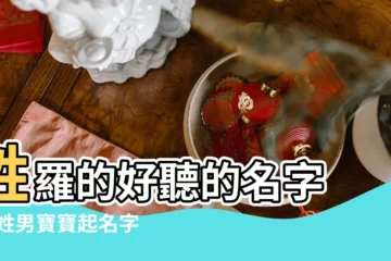 【姓羅的男寶寶取名】姓羅的好聽的名字 |羅姓男寶寶起名字大全 |姓羅的男孩名字大全 |