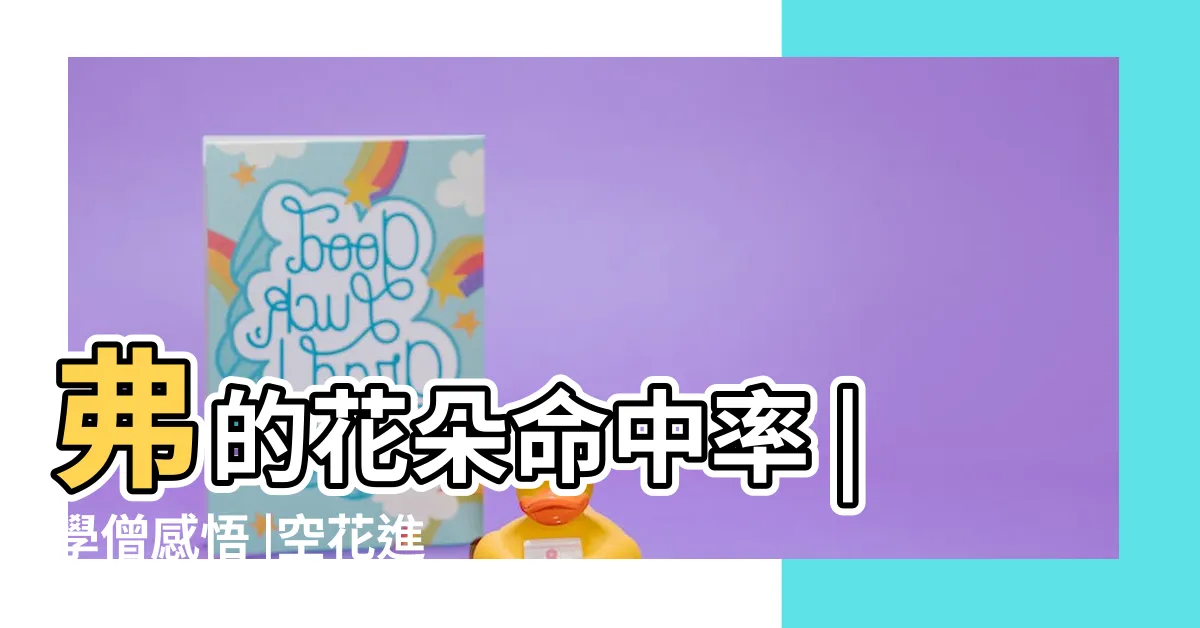 【空花角度學】弗的花朵命中率 |學僧感悟 |空花進階新手攻略技能和技能循環開始講起 |