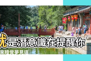 【夢到開車追女朋友】就是潛意識在提醒你 |原來睡覺夢見這些夢境 |10個常見的 |