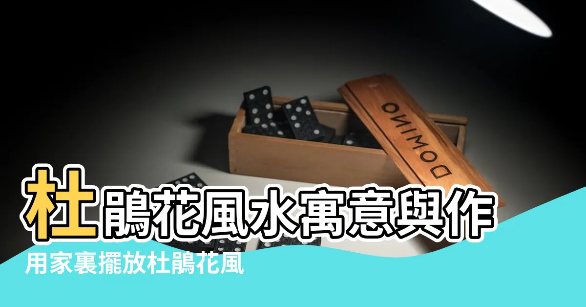 【門口可以種杜鵑花嗎】杜鵑花風水寓意與作用家裏擺放杜鵑花風水禁忌 |杜鵑花可以種在家門口嗎 |我家門前種了杜鵑花對風水好嗎 |