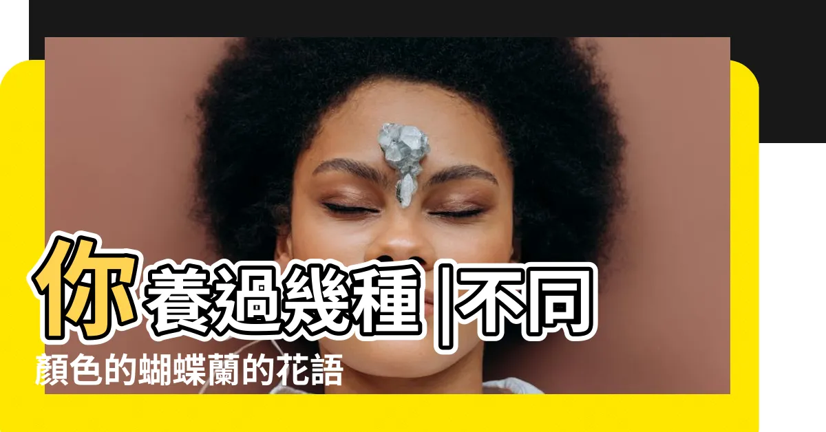 【黃色蘭花花語】你養過幾種 |不同顏色的蝴蝶蘭的花語和象徵寓意 |九種顏色的蝴蝶蘭 |