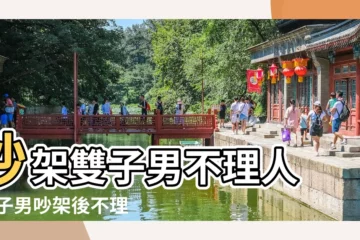 【雙子男吵架後不哄我】吵架雙子男不理人 |雙子男吵架後不理我 |跟雙子男吵架了要不要主動聯繫跟雙子座男生吵架後怎麼辦 |