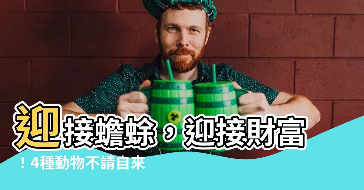 【蟾蜍來家裡】迎接蟾蜍，迎接財富！4種動物不請自來，子孫後代富貴滾滾來