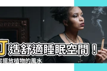 【睡房 植物】打造舒適睡眠空間！睡房擺放植物的風水秘訣