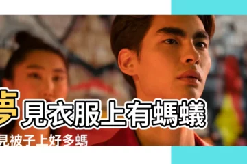 【夢到被子上有螞蟻】夢見衣服上有螞蟻 |夢見被子上好多螞蟻 |夢見被子上有螞蟻 |