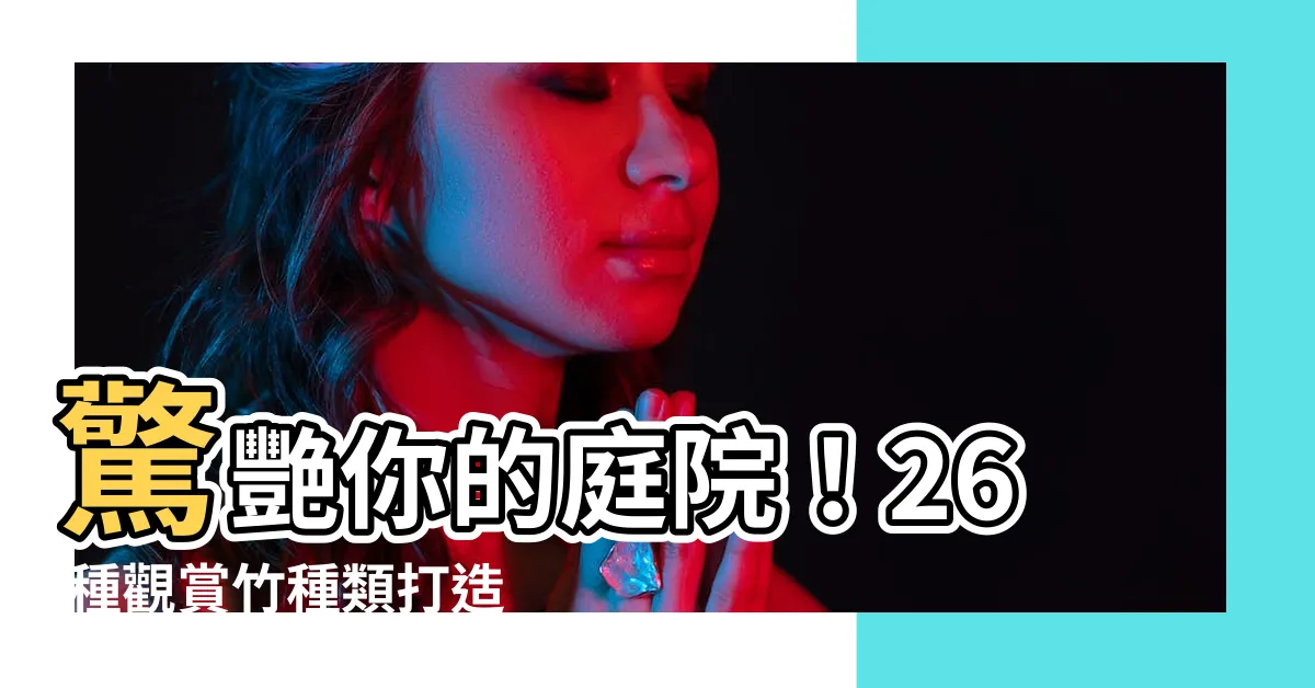 【觀賞竹種類】驚艷你的庭院！26 種觀賞竹種類打造綠意盎然的夢幻天地