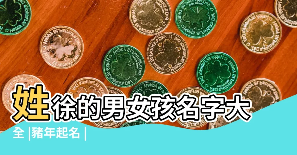 姓徐的男女孩名字大全 |豬年起名 |徐姓男孩取名屬豬2019 |【豬年姓徐的男孩名字】