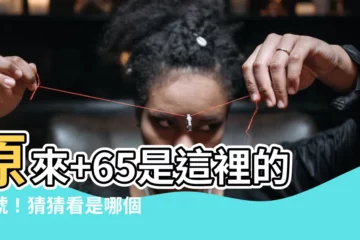 【 65是哪裏】原來+65是這裡的區號！猜猜看是哪個美麗的國家！