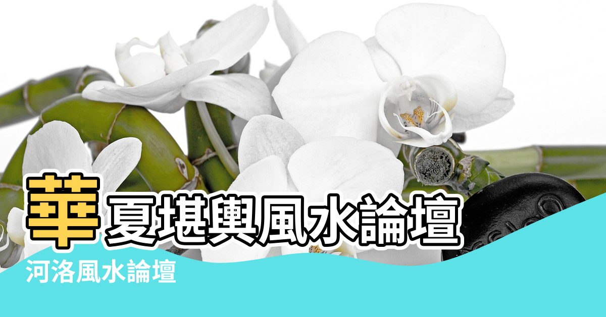 【玉林風水論壇】華夏堪輿風水論壇 |河洛風水論壇 |廣西喬利人 |