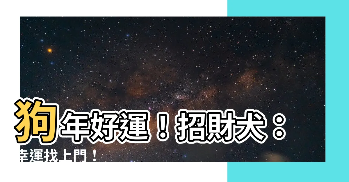 【招財犬】狗年好運！招財犬：幸運找上門！