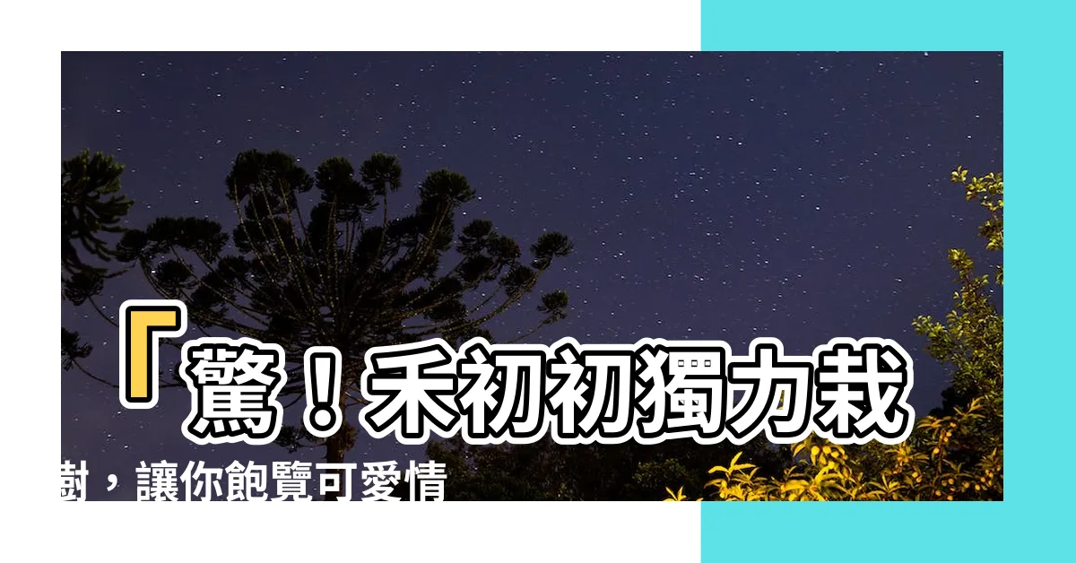 【可愛情就是前人栽樹 後人乘涼】「驚！禾初初獨力栽樹，讓你飽覽可愛情，享受乘涼快感！」