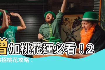 【增加桃花】增加桃花運必看！2023招桃花攻略：飾品小物、風水佈局全公開