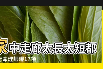 【走廊很長的房屋風水】家中走廊太長太短都不行命理師曝17項風水禁忌 |民俗專家揭秘17大居家風水禁忌 |走道太長或太短都不行 |