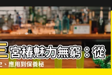 【三宮樁】三宮椿魅力無窮：從歷史、應用到保養秘訣大公開