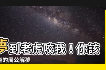 【夢到老虎咬我】夢到老虎咬我！你該知道的周公解夢