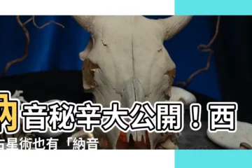 【西方納音】納音秘辛大公開！西洋占星術也有「納音」？