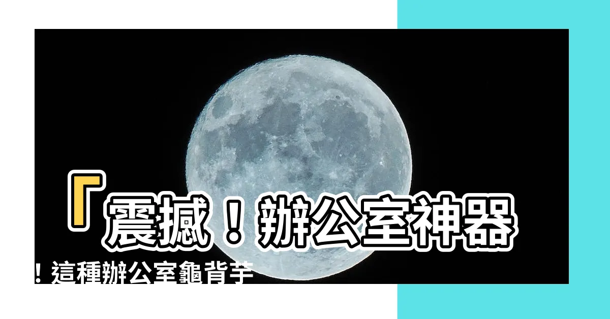 【龜背芋 辦公室】「震撼！辦公室神器！這種辦公室龜背芋竟能消除99%負能量！」