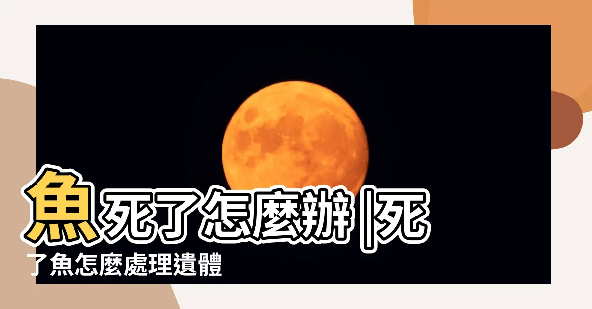 【魚死了怎麼辦】魚死了怎麼辦 |死了魚怎麼處理遺體 |寵物魚死後如何處理 |