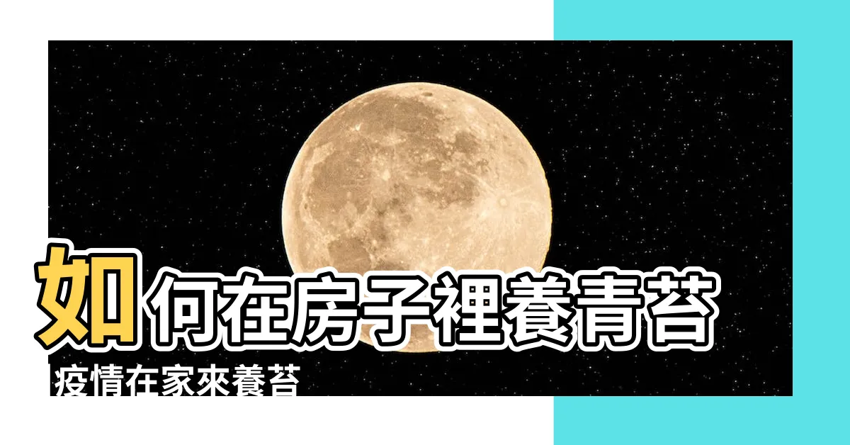 【青苔怎麼養】如何在房子裡養青苔 |疫情在家來養苔 |家裡放二盆青苔更清新 |