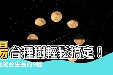 【陽台種樹】陽台種樹輕鬆搞定！適合陽台生長的9種大型植物推薦