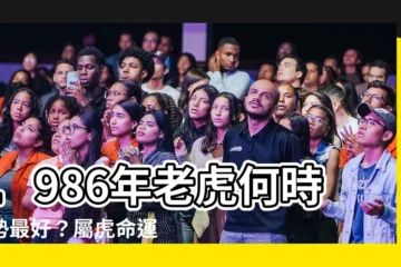 【1986年是什麼虎】1986年老虎何時運勢最好？屬虎命運大解析！