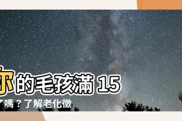 【狗 15歲】你的毛孩滿 15 歲了嗎？瞭解老化徵兆，照顧他到最後一刻