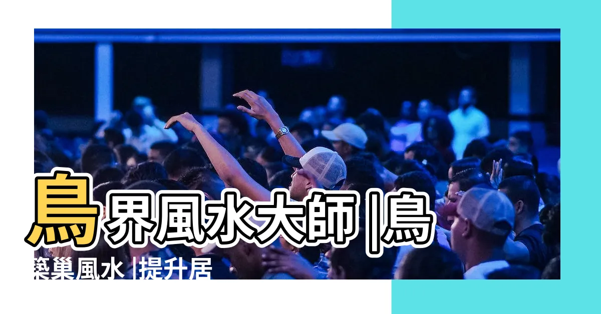 【小鳥在家築巢風水】鳥界風水大師 |鳥築巢風水 |提升居家能量的秘訣 |