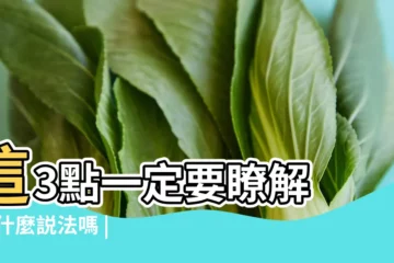 【孕婦夢到已過世的外婆摸肚子】這3點一定要瞭解 |有什麼説法嗎 |孕婦夢見過世的親人是什麼意思孕婦夢見過世的親人摸肚子 |