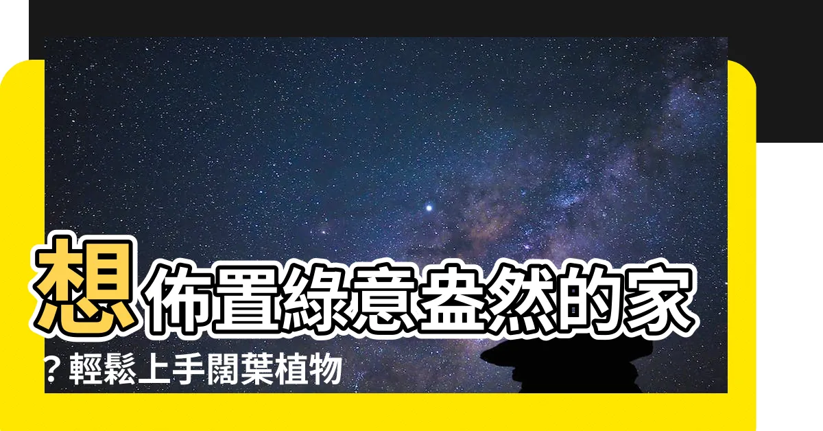 【闊葉盆栽】想佈置綠意盎然的家？輕鬆上手闊葉植物盆栽！