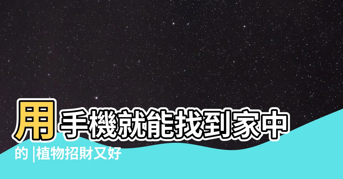 【家裡的財位在哪裡】用手機就能找到家中的 |植物招財又好看 |選這些財位擺設 |