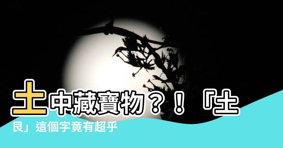 【土艮】土中藏寶物？！「土艮」這個字竟有超乎想像的秘密