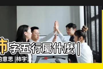 【柿 五行】柿字五行屬什麼 |柿的意思 |柿字五行屬什麼柿字用作取名的寓意和含義 |