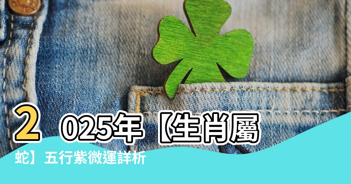 【2025年 蛇年】2025年【生肖屬蛇】五行紫微運詳析，蛇年命格解析一瞥！