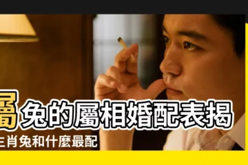 【兔和什麼生肖比較好】屬兔的屬相婚配表揭秘生肖兔和什麼最配 |兔的三合和六合生肖分別是什麼屬兔人適合婚配的屬相 |屬兔和什麼屬相最合 |