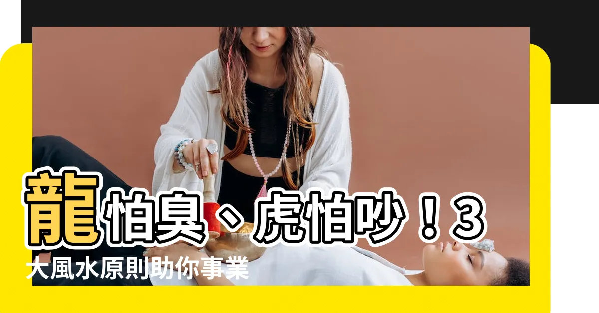 【龍怕臭 虎怕吵】龍怕臭、虎怕吵！3大風水原則助你事業「龍虎生威」