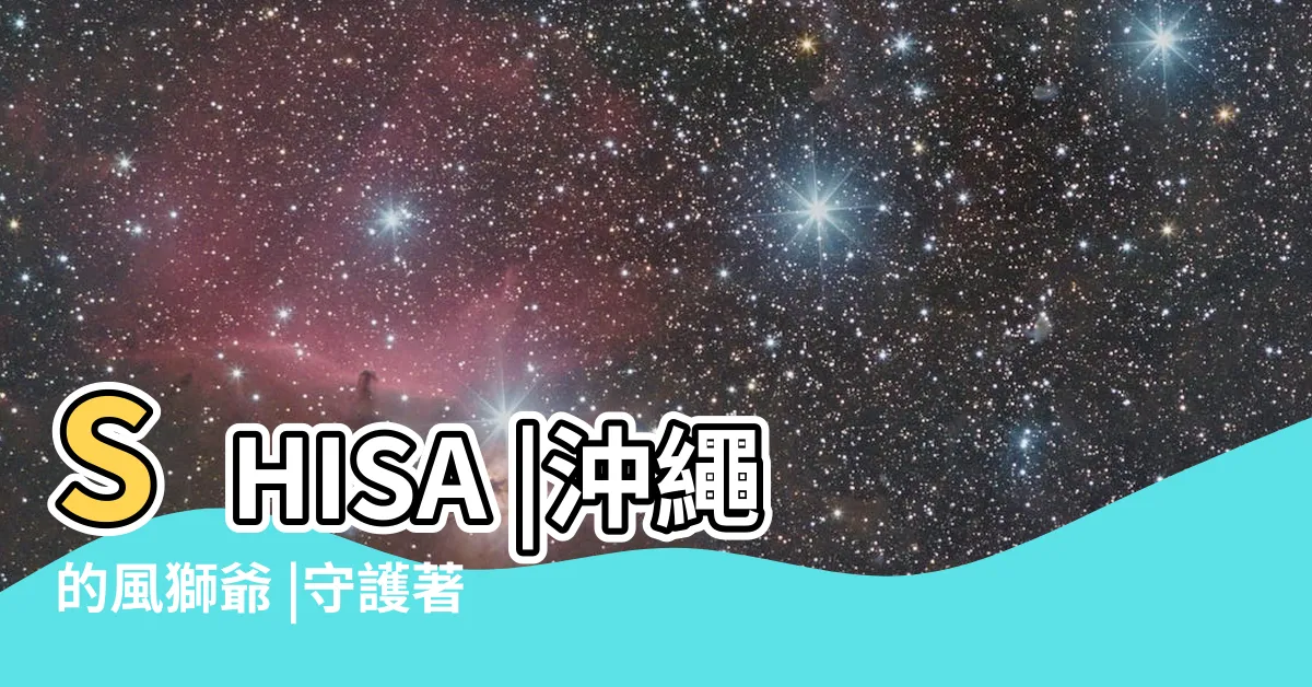【沖繩石獅子擺放】SHISA |沖繩的風獅爺 |守護著沖繩的沖繩獅 |