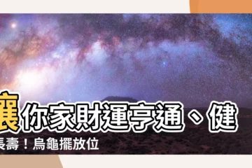 【烏龜擺放位置】讓你家財運亨通、健康長壽！烏龜擺放位置最強攻略