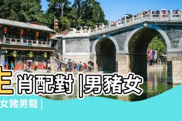 【婚姻豬配龍】生肖配對 |男豬女龍 |女豬男龍 |
